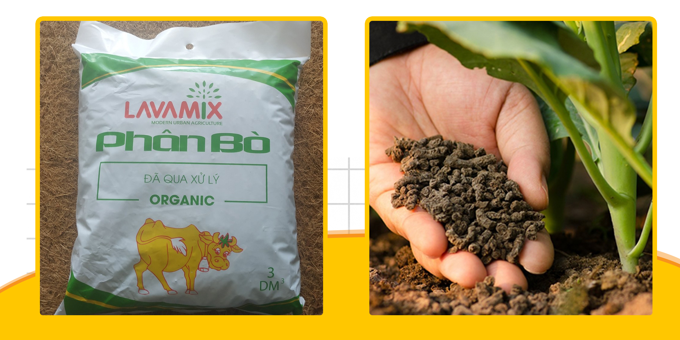 Phân bò không mùi hôi 3dm3, phân hữu cơ sinh học không độc hại, thích hợp cho việc trồng rau sạch - Nông Sản Vàng