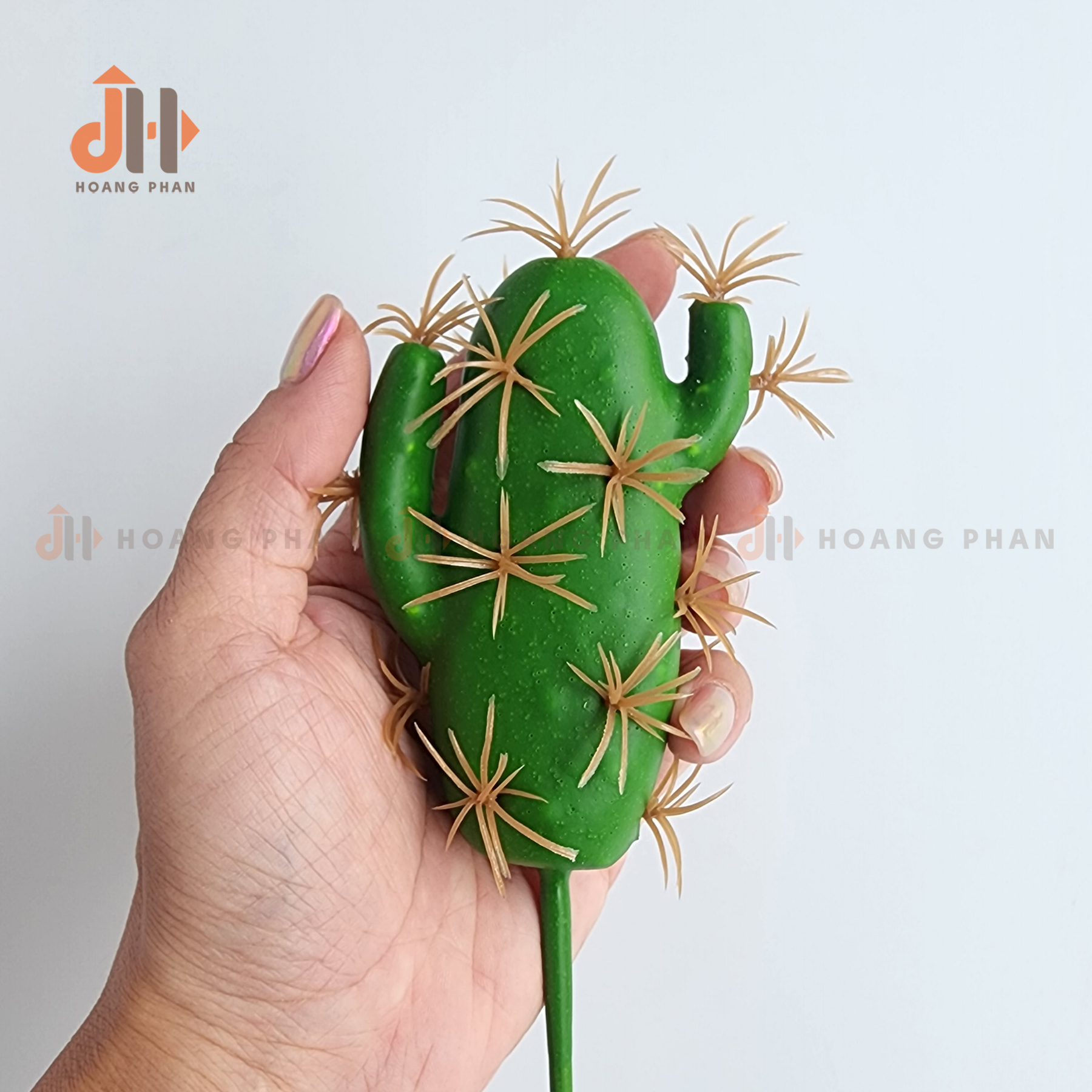 Trụ xương rồng lục giác vĩnh cửu trang trí