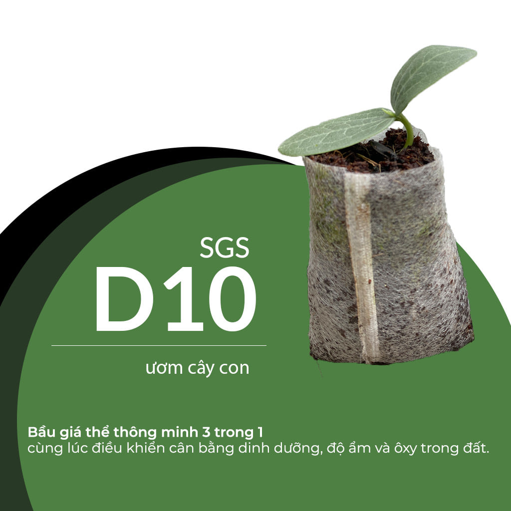 Viên Nén Xơ Dừa Trồng Ngó Dâu Thông Minh SGS đã bao gồm phân bón hữu cơ cho cây phát triển tốt trong 30 ngày