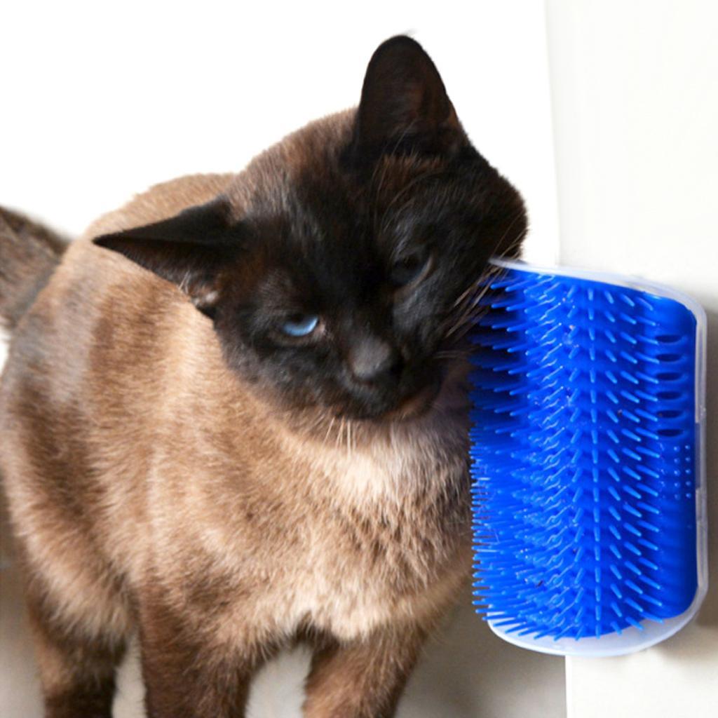 Dog Cat Bath Brush Comb Hair Rubber Glove and Cat Groomer Corner Blue