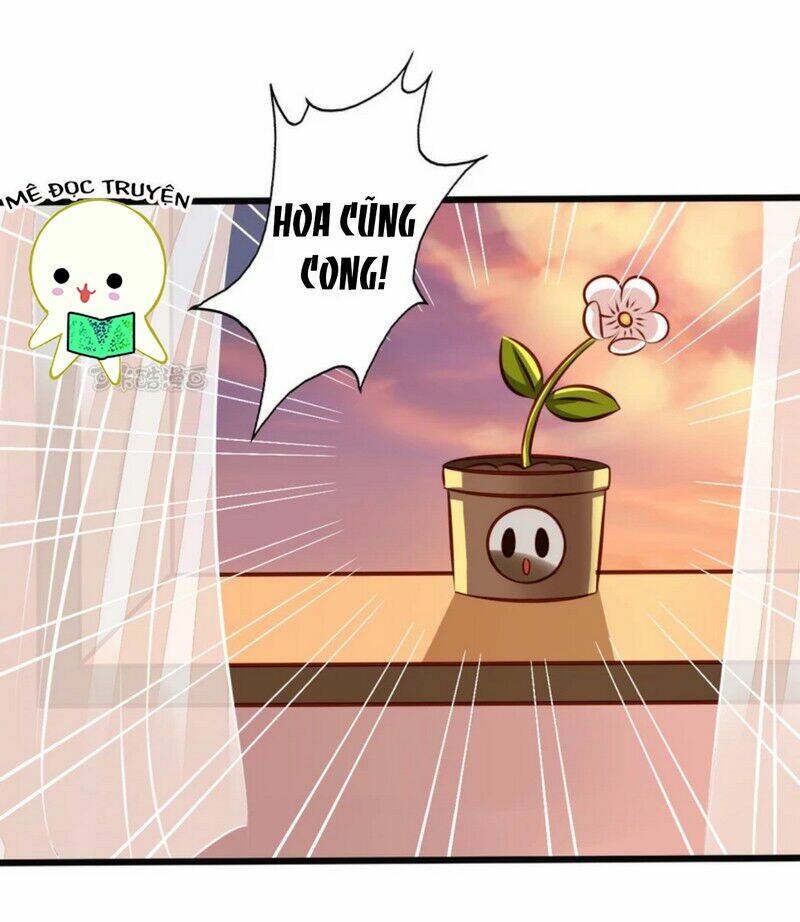 ông chủ của tôi là yêu quái chapter 31 24