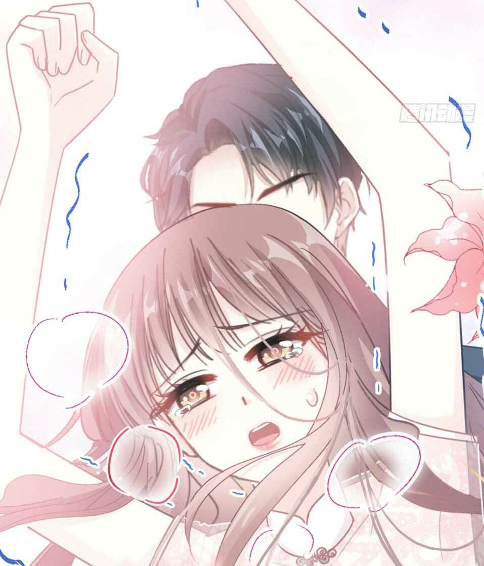 bá đạo tổng tài nhẹ nhàng yêu chapter 47.2 6