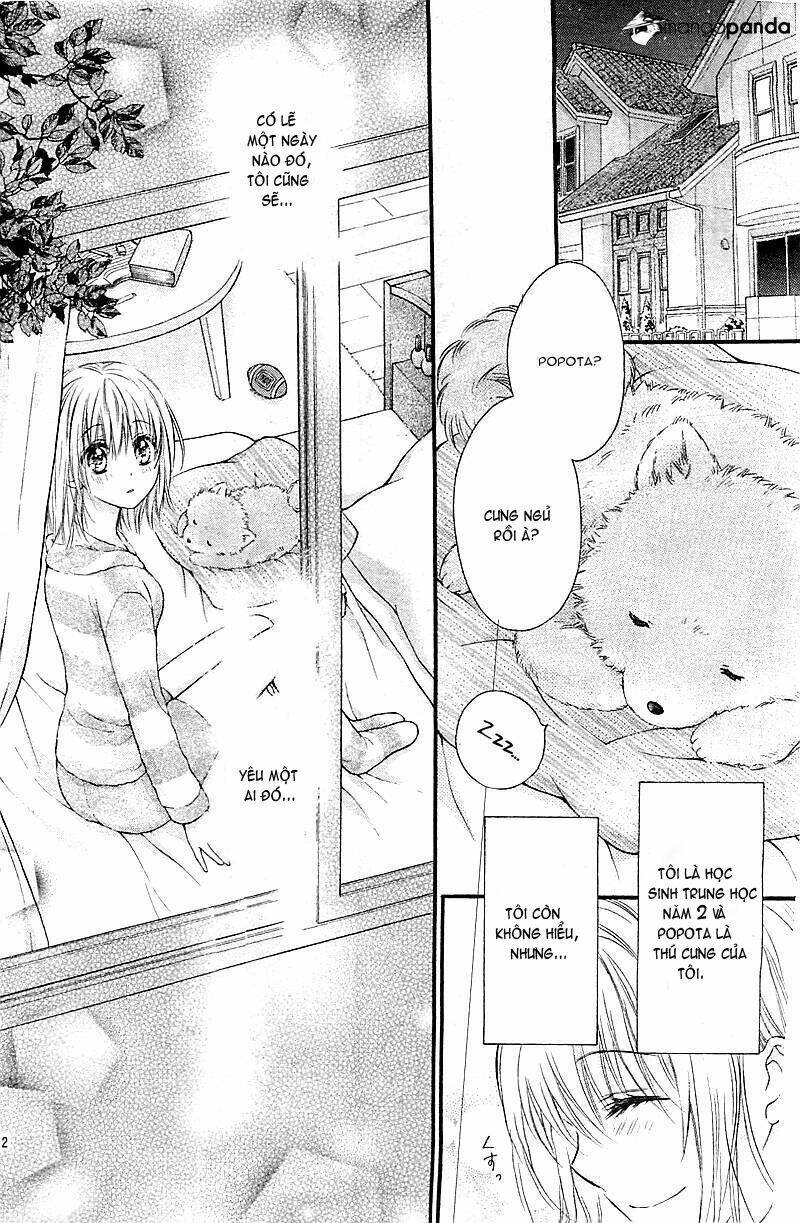 hatsukoi dandelion chapter 1 15