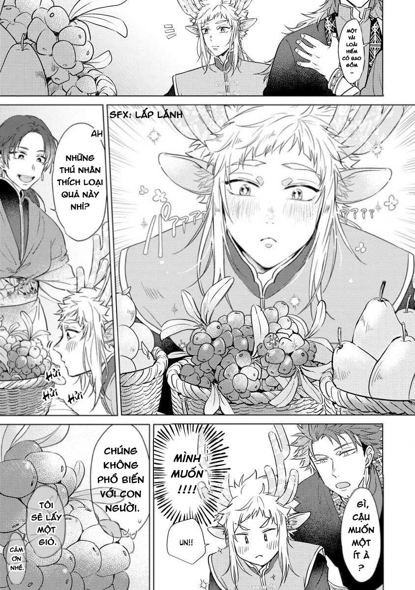 gặp gỡ em, thú nhân màu chàm trắng chapter 3 9