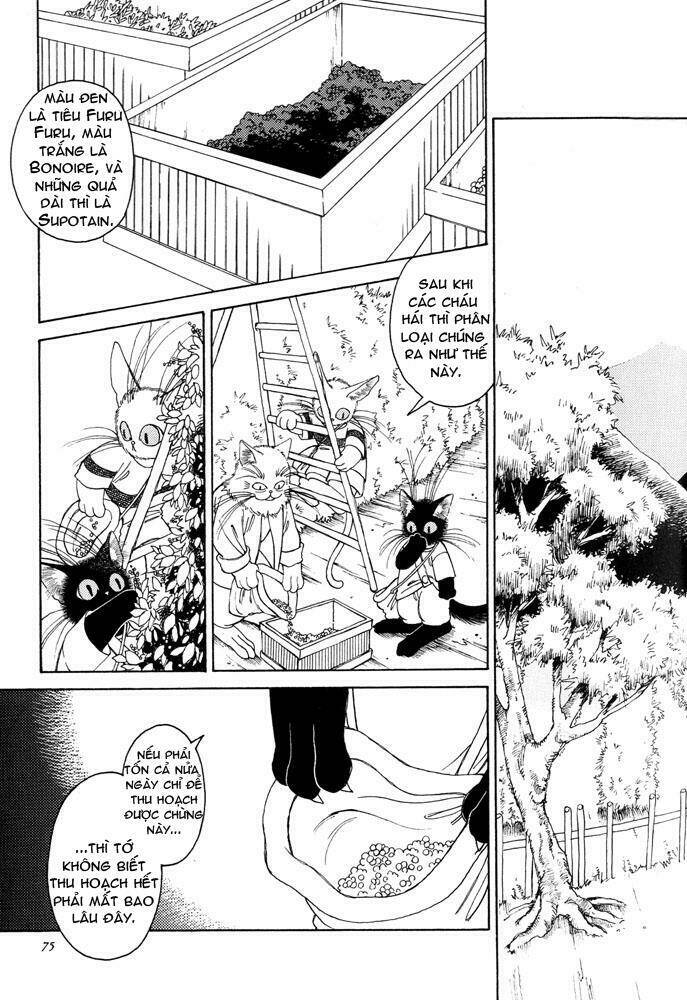 bernie's drawing diary chapter 3 6