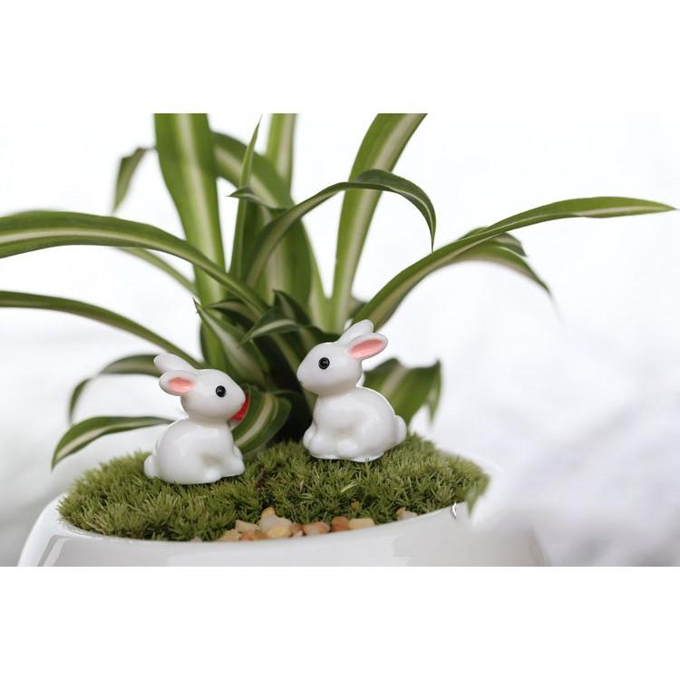 Tiểu cảnh Terrarium ️ Mô hình thỏ trắng tiểu cảnh trang trí sen đá, sân vườn, bể cá, bể terrarium