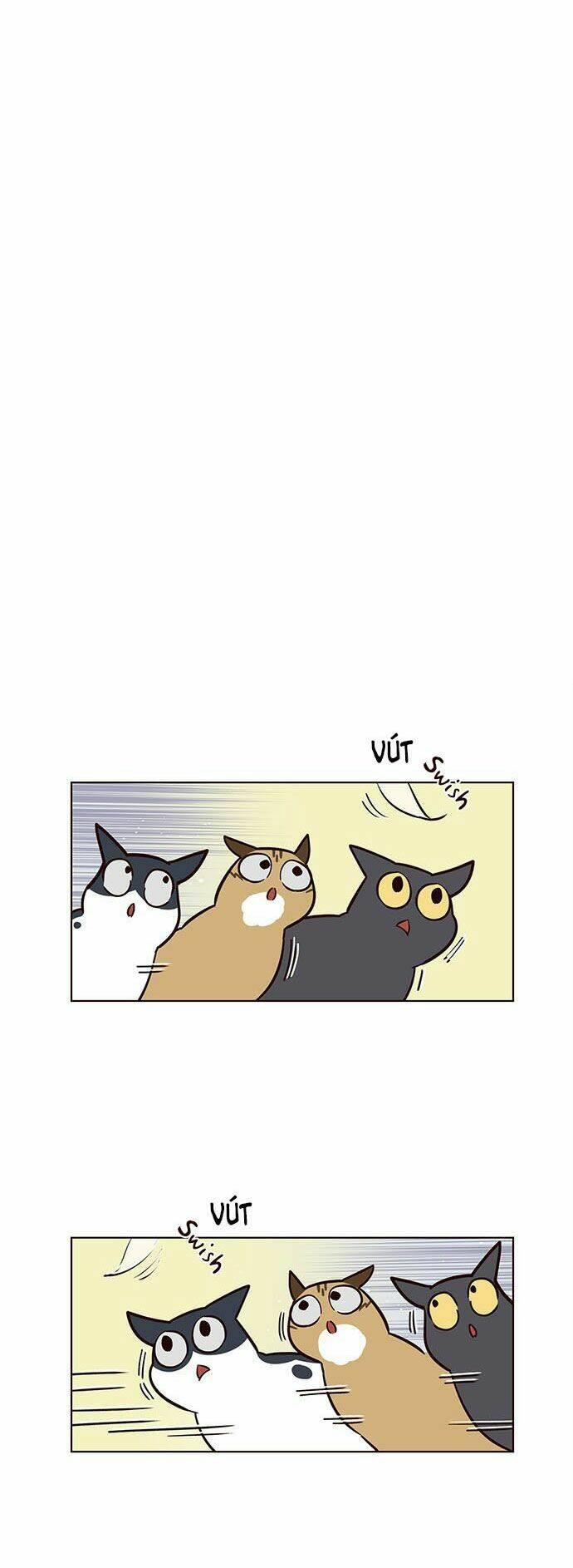 biến thân thành mèo chapter 16 8