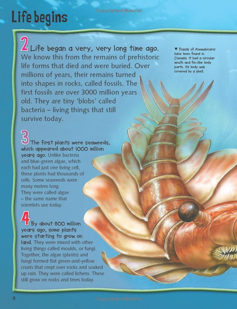 Sách ngoại văn: Wild About Dinosaurs