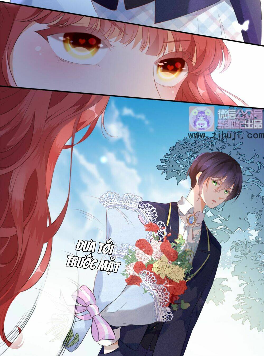 cô bé lọ lem của tôi không ăn chay chapter 1 14