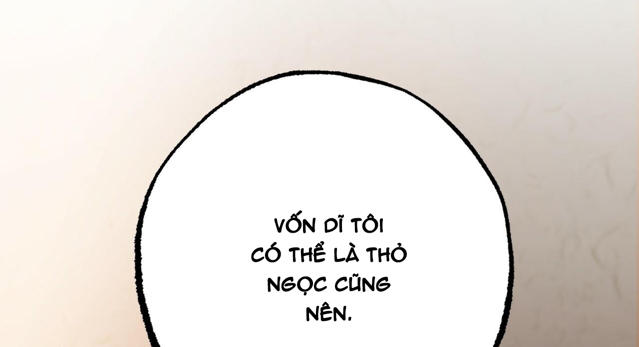 đàn thỏ của habibi chapter 27 65