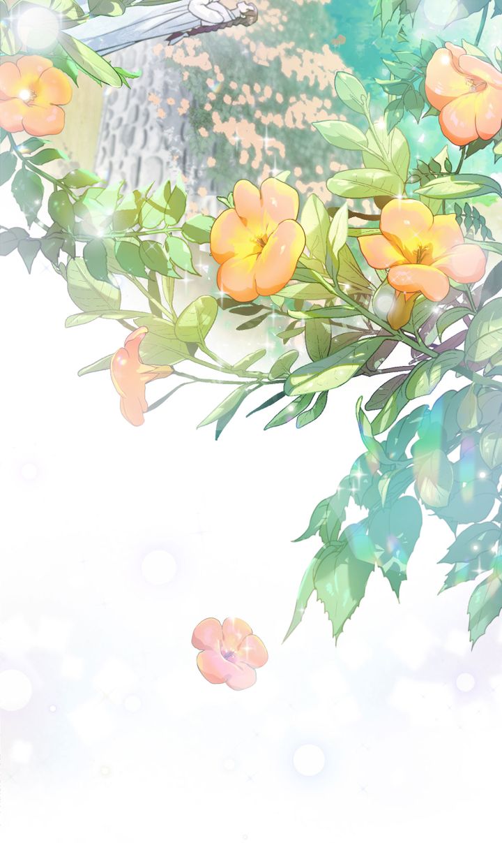 khi những nụ hoa nở rộ chapter 1 63