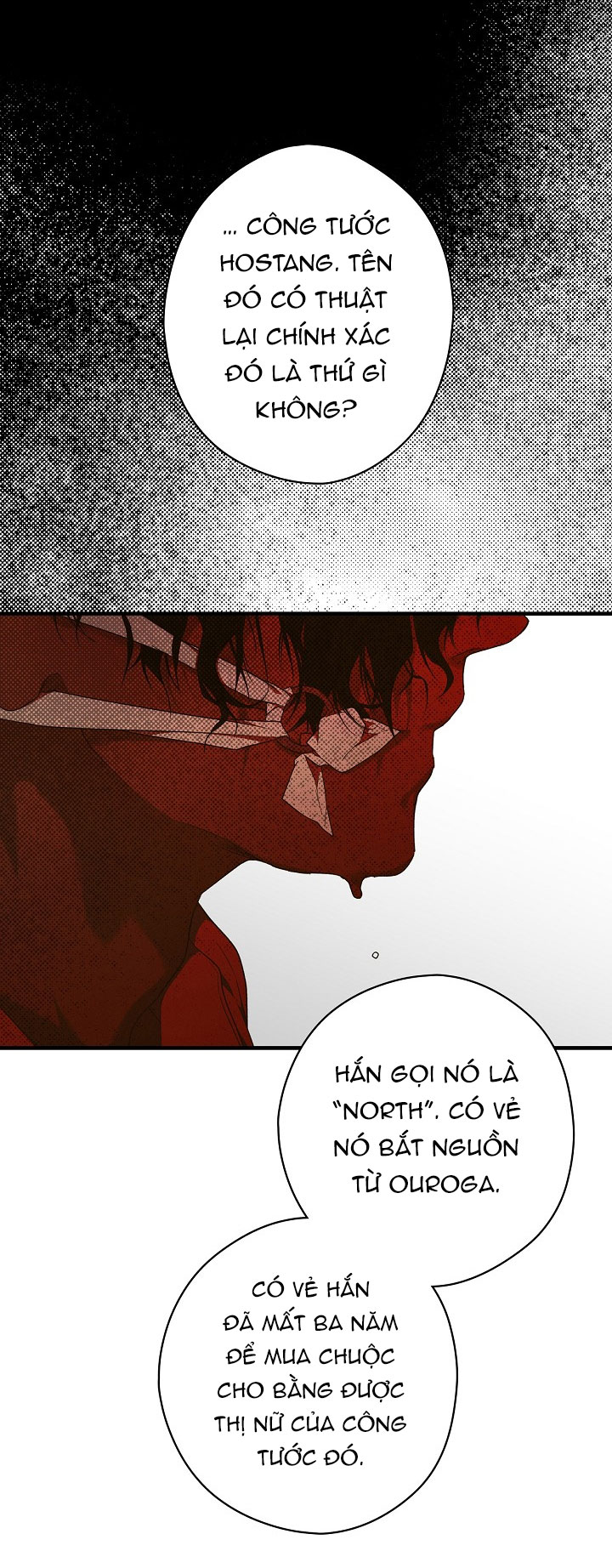 tiểu thư bí ẩn chapter 15 45