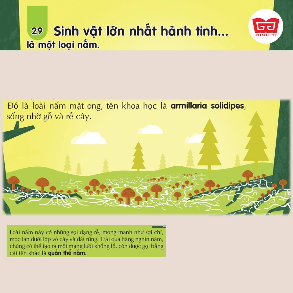 Sách - 100 bí ẩn đáng kinh ngạc về Khoa học (USBORNE - 100 things to know about science)