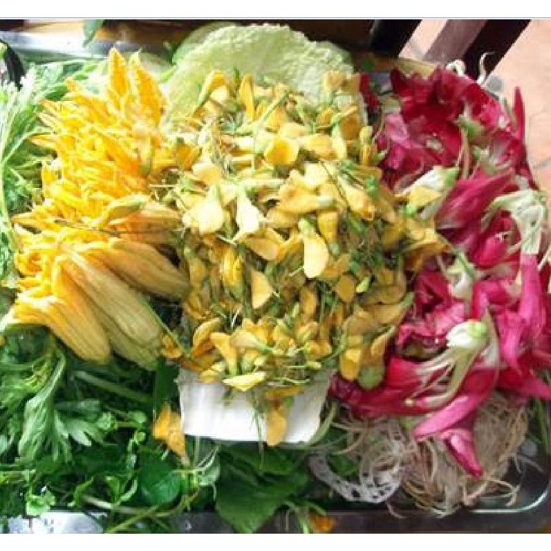 Hạt giống bông điên điển vàng- gói 10 hạt/tặng kèm gói phân bón lót