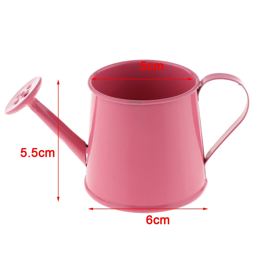 3pcs Pastoral Style Colorful Metal Tin Flower Pot Mini Bonsai Watering Can Pot