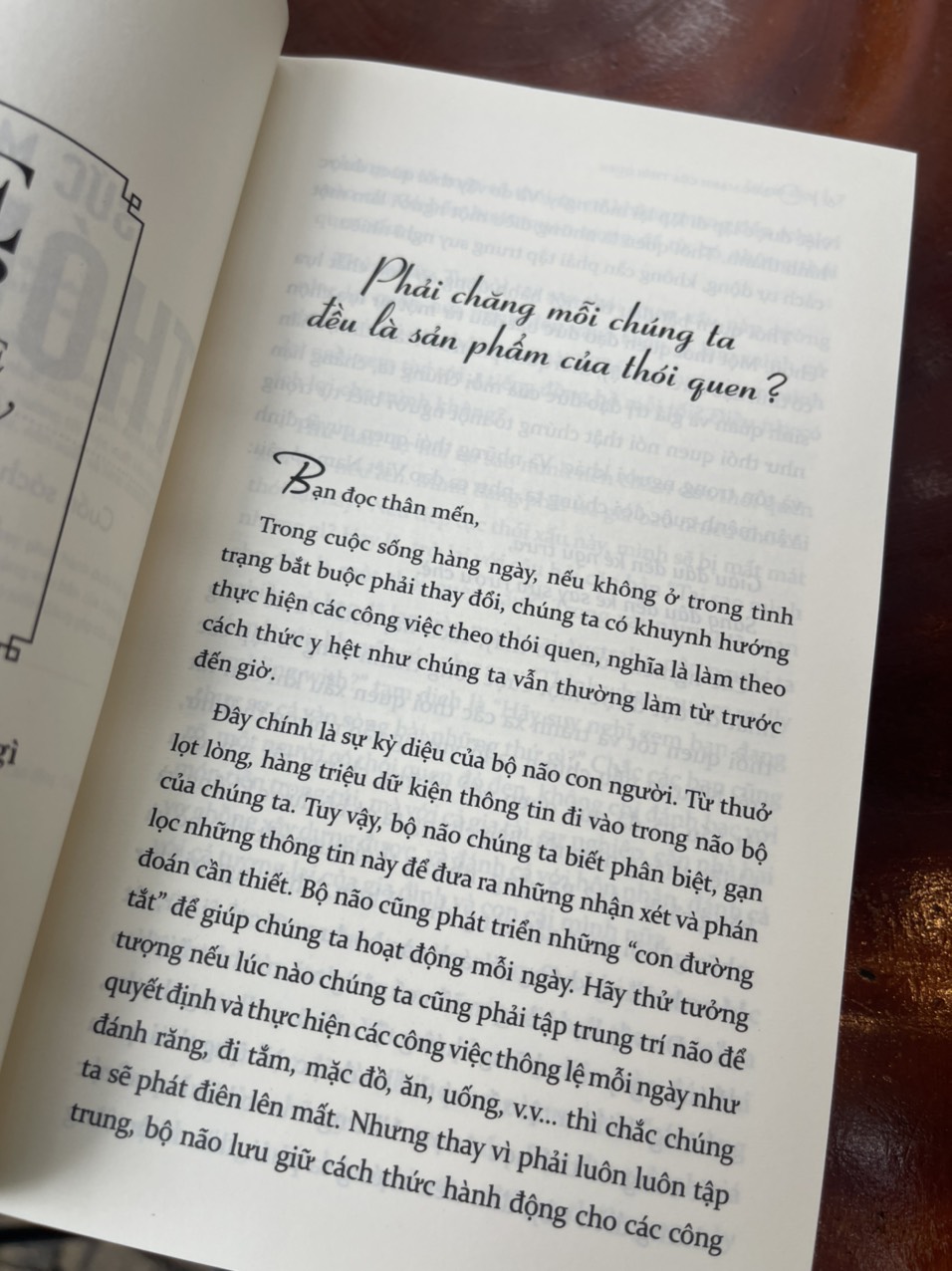 SỨC MẠNH CỦA THÓI QUEN – Cuốn sách hay nhất về thay đổi hành vi con người và tổ chức – Charles Duhigg – Lê Thảo Ly dịch – Alphabooks – NXB Lao Động
