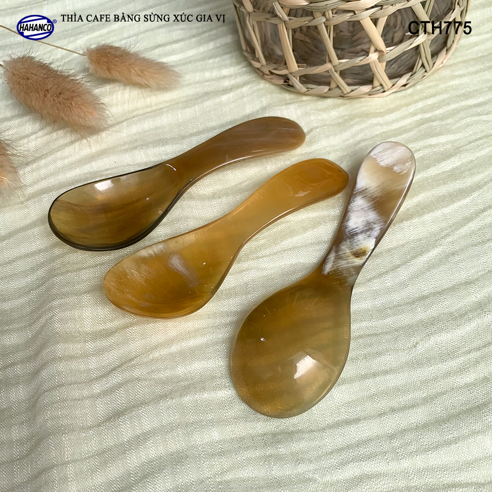Thìa Xúc Gia Vị Đồ Khô Bằng Sừng Tự Nhiên HAHANCO Size Nhỏ 9.7cm