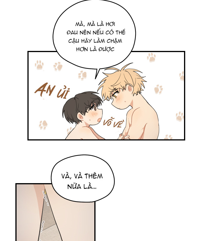 đường hoa liên kiều rơi chapter 15 30