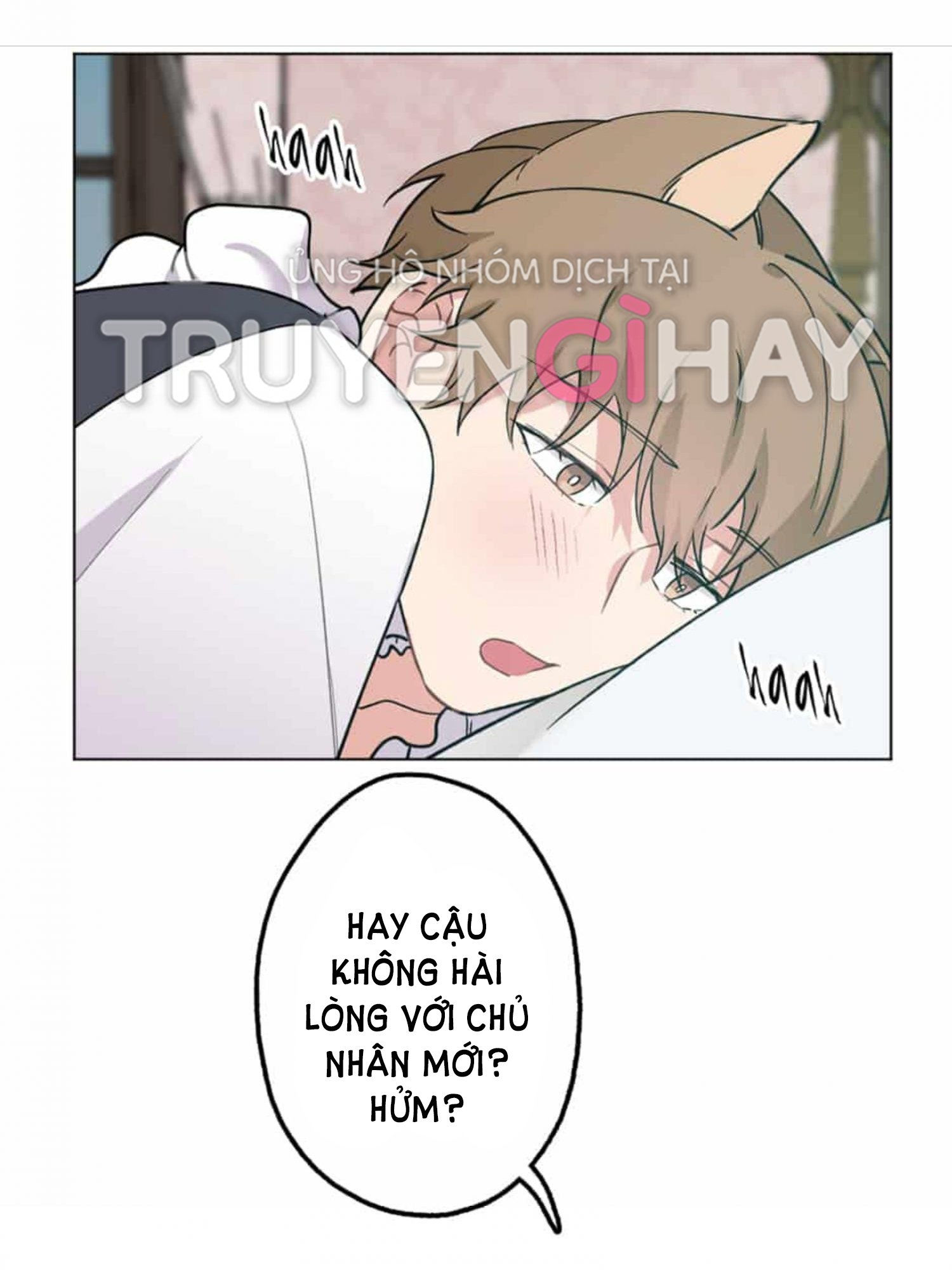 tiểu thư và dàn hầu nam mlem chapter 31 39