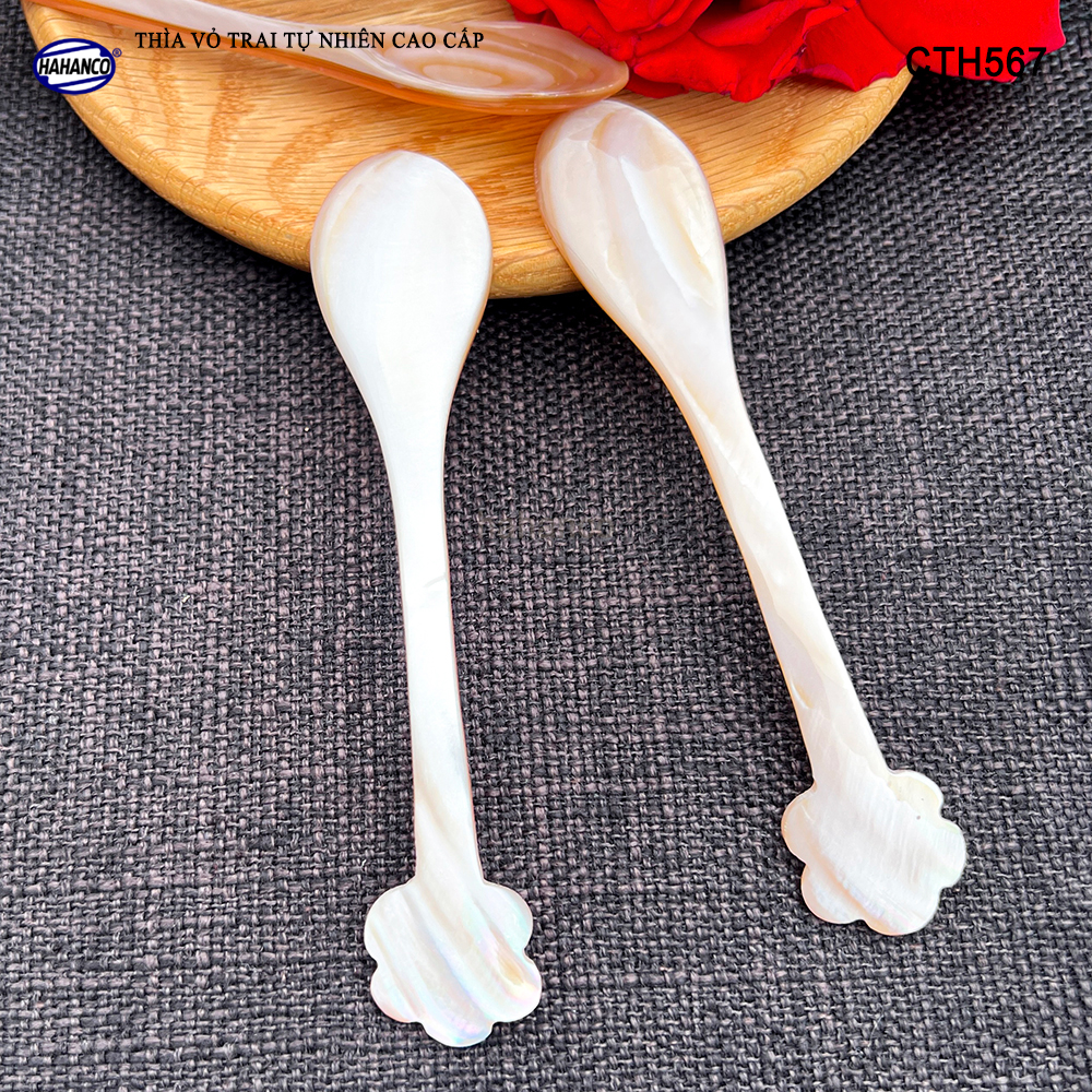 Muỗng Cà Phê Gia Vị Bằng Xà Cừ Tiêu Chuẩn Xuất Khẩu - HAHANCO - CTH567
