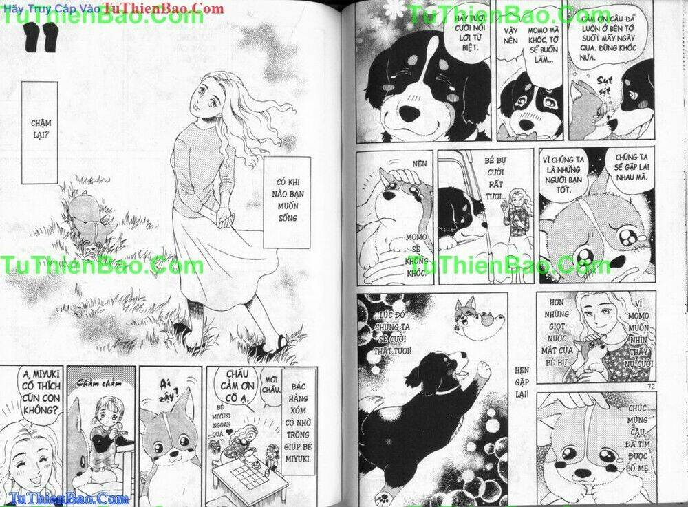 chó con mo mo chapter 6 37