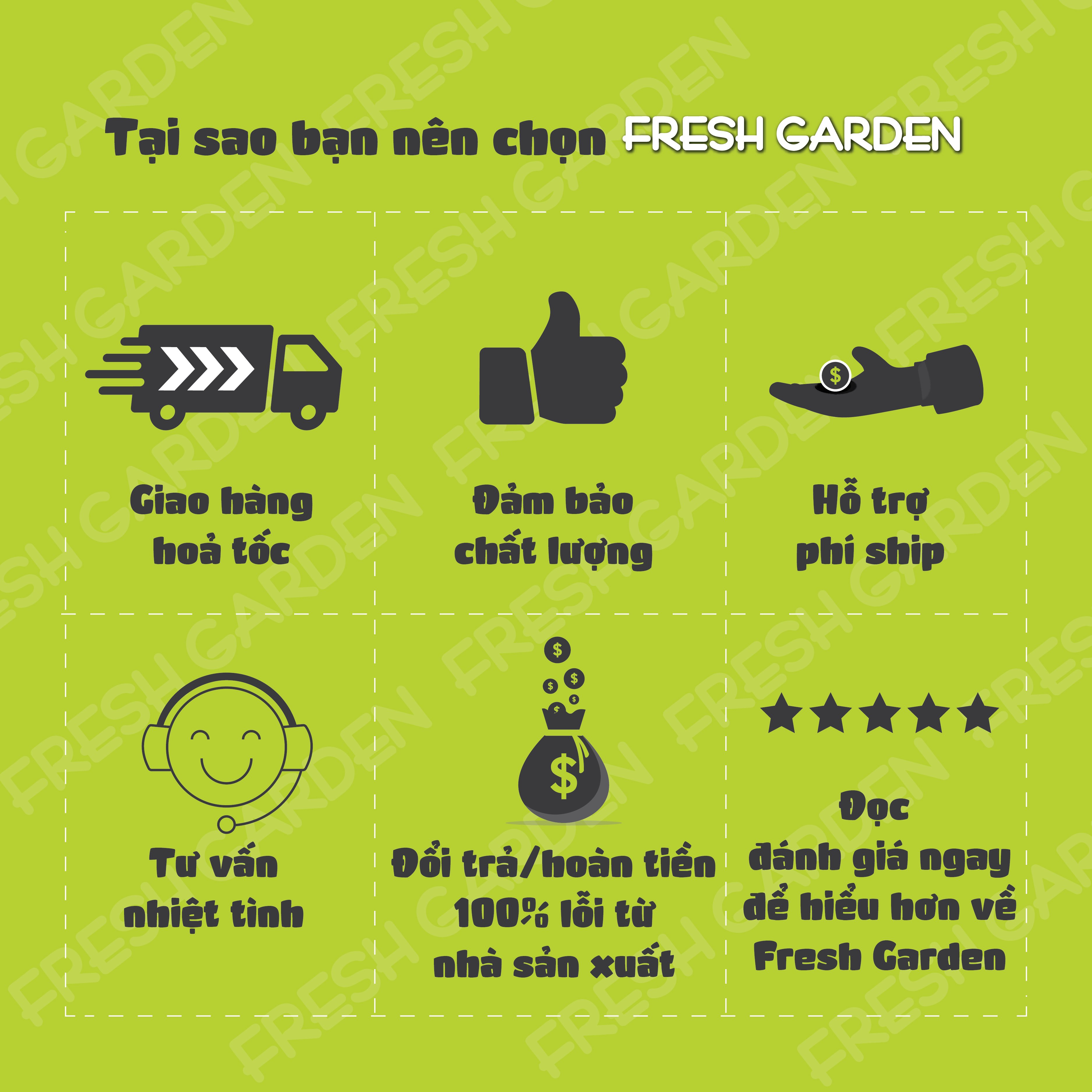 Bộ Bánh Quy Ngũ Vị Cao Cấp Quà Tết Dòng Chảy Hạnh Phúc FRESH GARDEN Đủ Loại Đủ Vị Tết Đong Đầy Hộp 110g