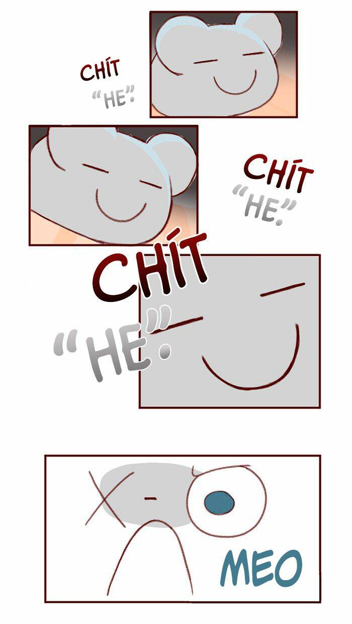 saphie: chú mèo một mắt chapter 3 17