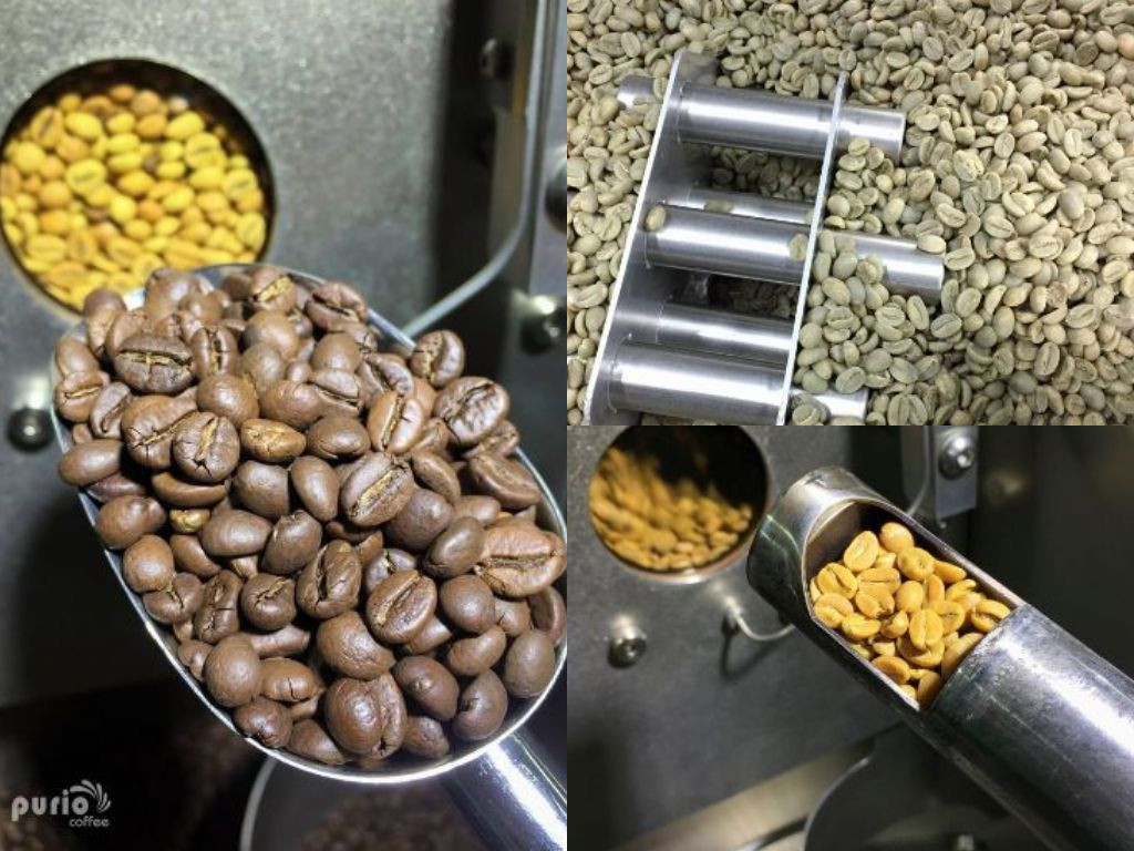 PURIO Coffee - cà phê hạt rang mộc, Bản Đôn, 100% Robusta, Đắng đậm - Đạt tiêu chuẩn HACCP - Túi 250gr