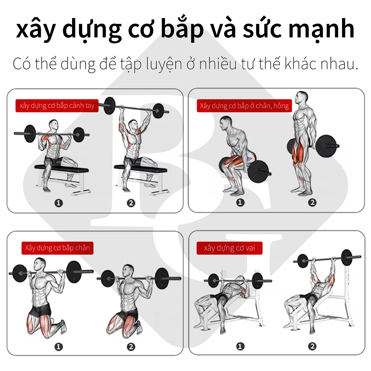 BG Đòn tạ dài 150cm, phi 25-50mm , Đòn tập tạ đòn gắn tạ đòn tập squats đòn tập ngực đòn tập vai, tiêu chuẩn quốc tế