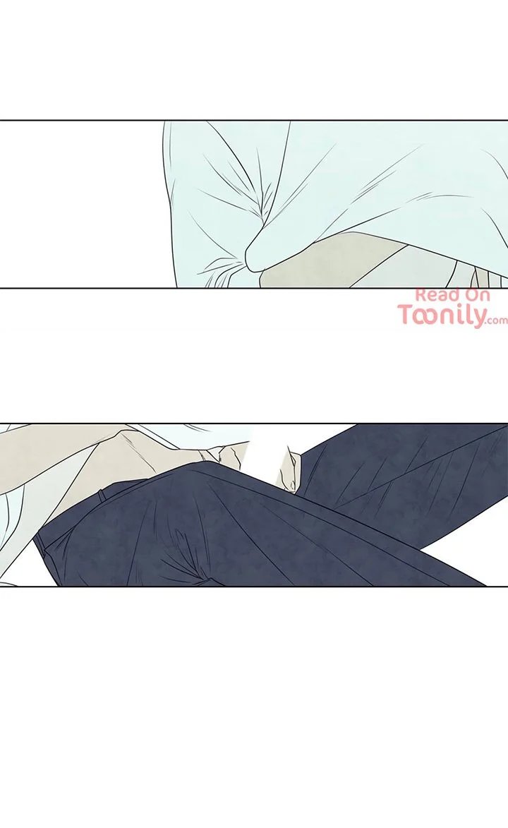 summer solstice point chapter 35 12