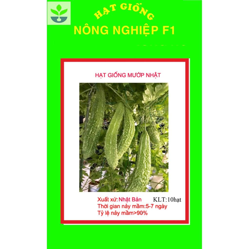 10 hạt giống mướp đắng nhật bản