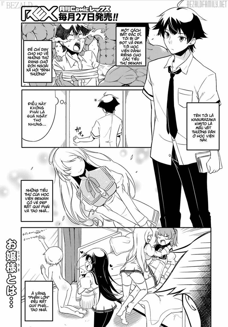 ore ga ojou-sama gakkou ni "shomin sample" toshite rachirareta ken chapter 43.5 2