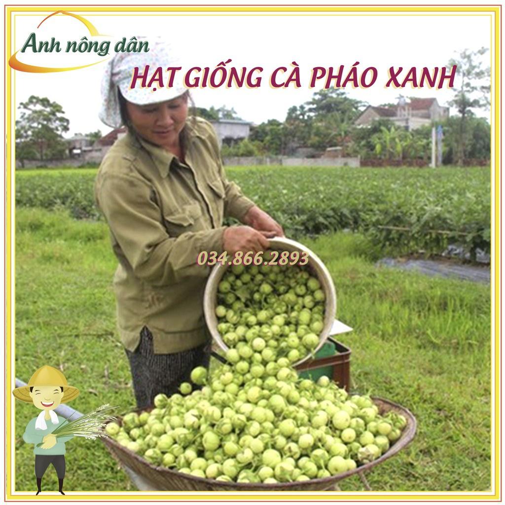 Gói 2g Hạt giống cà pháo xanh cao sản F1