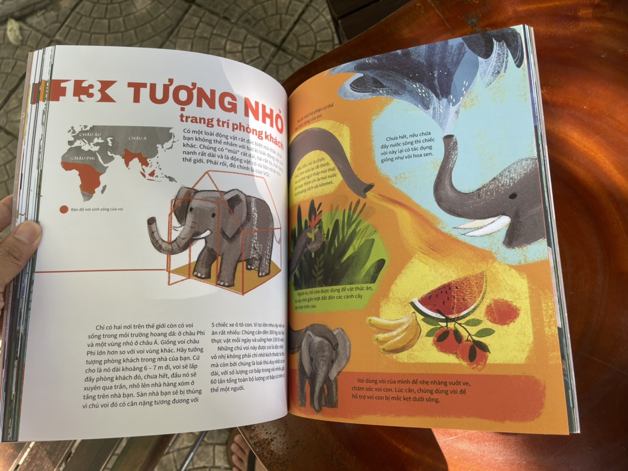 23 SẢN PHẨM ĐẨY CÁC LOÀI SINH VẬT ĐẾN BỜ VỰC TUYỆT CHỦNG – từ điển động vật quý hiếm – minh họa màu toàn bộ - ấn bản kỷ niệm 65 năm thành lập NXB Kim Đồng