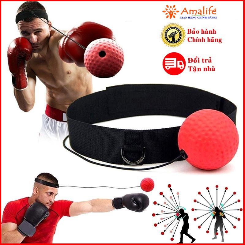 Bộ Bóng Tập Phản Xạ Tập Đấm Bốc Boxing Gym Thể Thao Treo Đầu Cao Cấp Chính Hãng Amalife