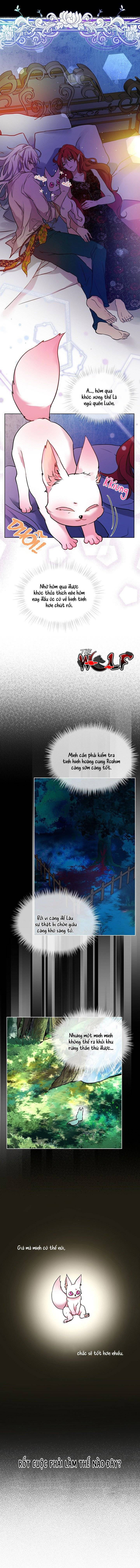 tái sinh thành bé thần thú nhỏ chapter 2 3