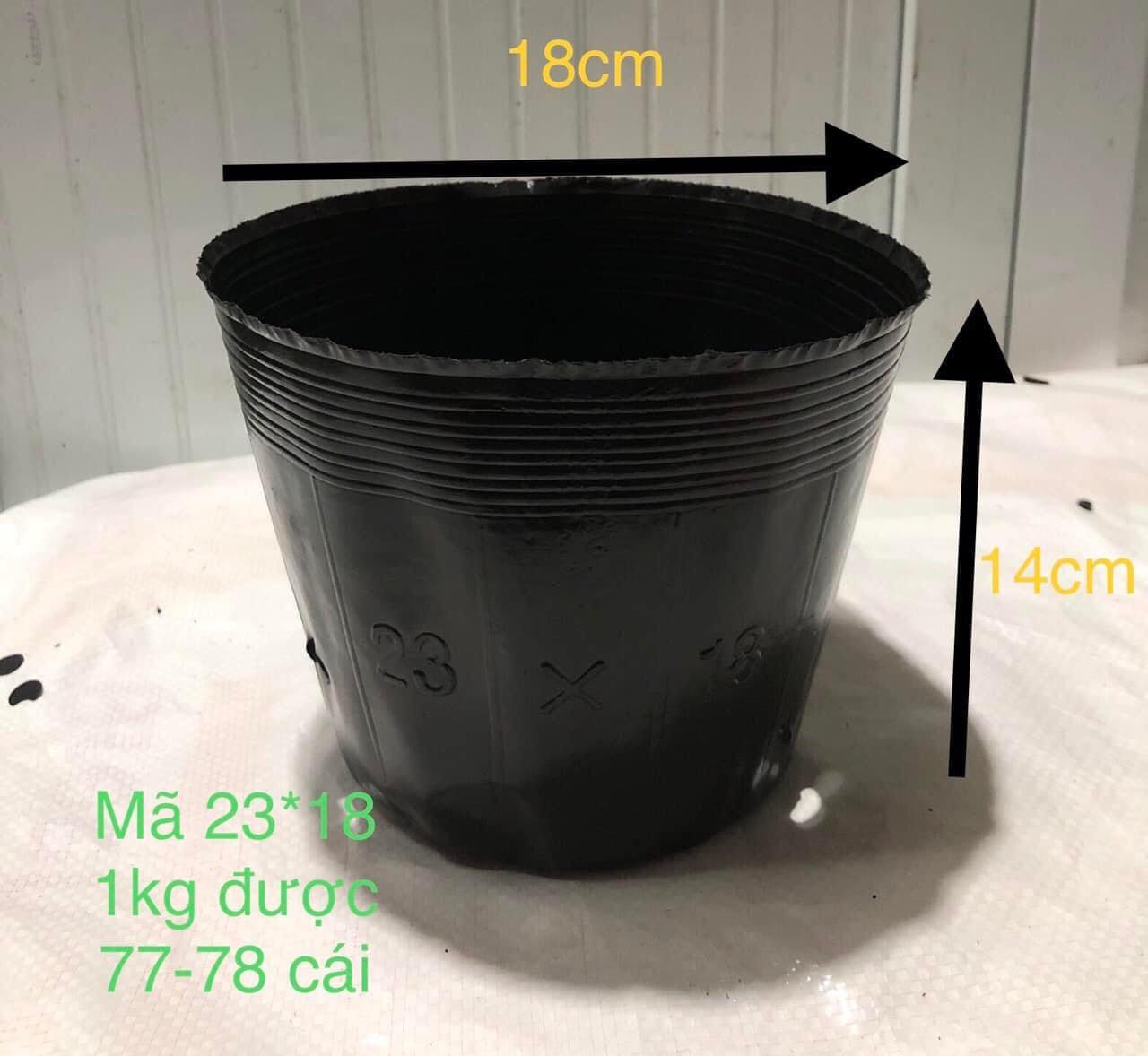 1KG BẦU ƯƠM MỀM 23X18 CM - 1KG : 78 CÁI