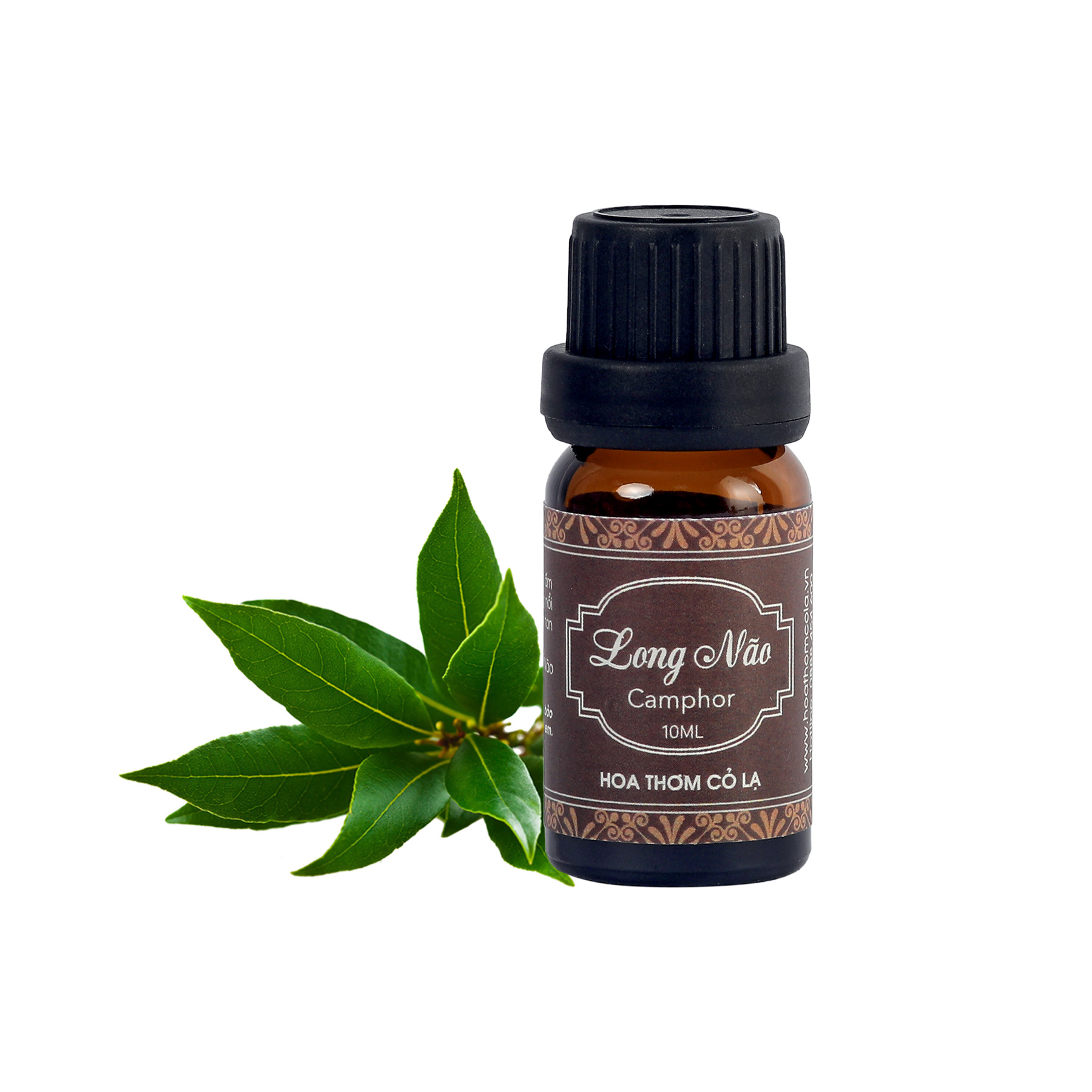 Tinh Dầu Long Não - Camphor Essential Oil 10ml - Hoa Thơm Cỏ Lạ