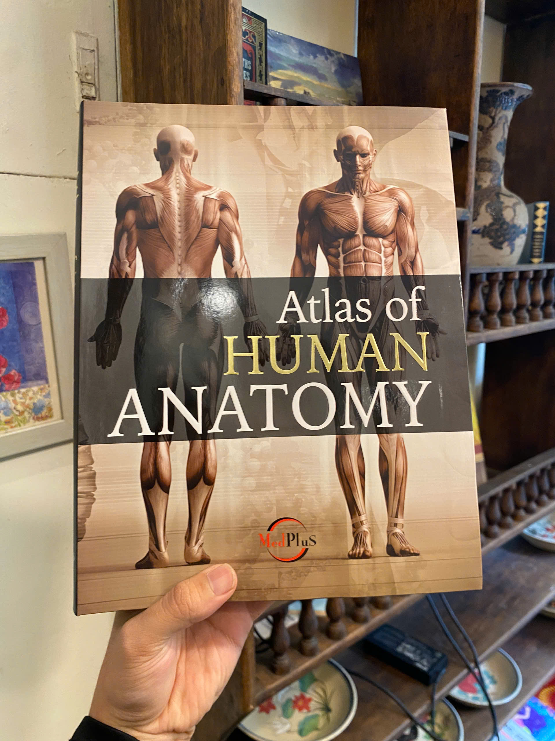 Sách - Human Anatomy by Jordi Vigue | Medical Science / Reference Nonfiction / Ngoại văn