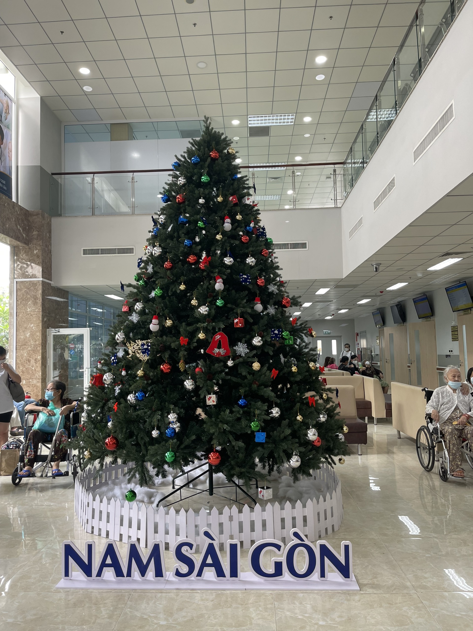 Cây thông Pe cao cấp 2m - Cây thông noel PE cao 2m - Cây tự động bung cành