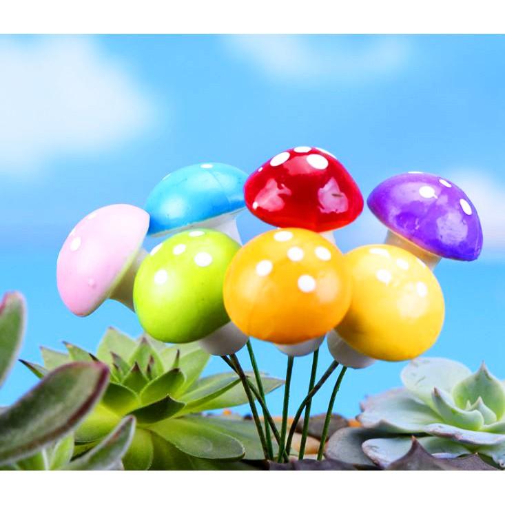 Cây Nấm Mini - trang trí bể cá, terrarium giao màu ngẫu nhiên