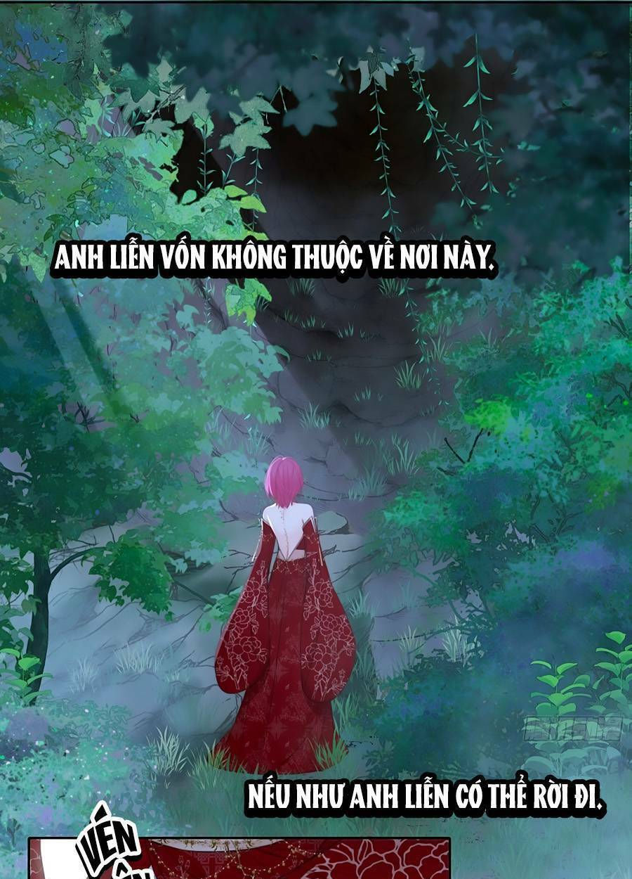 kim ốc tàng kiều chapter 76 34