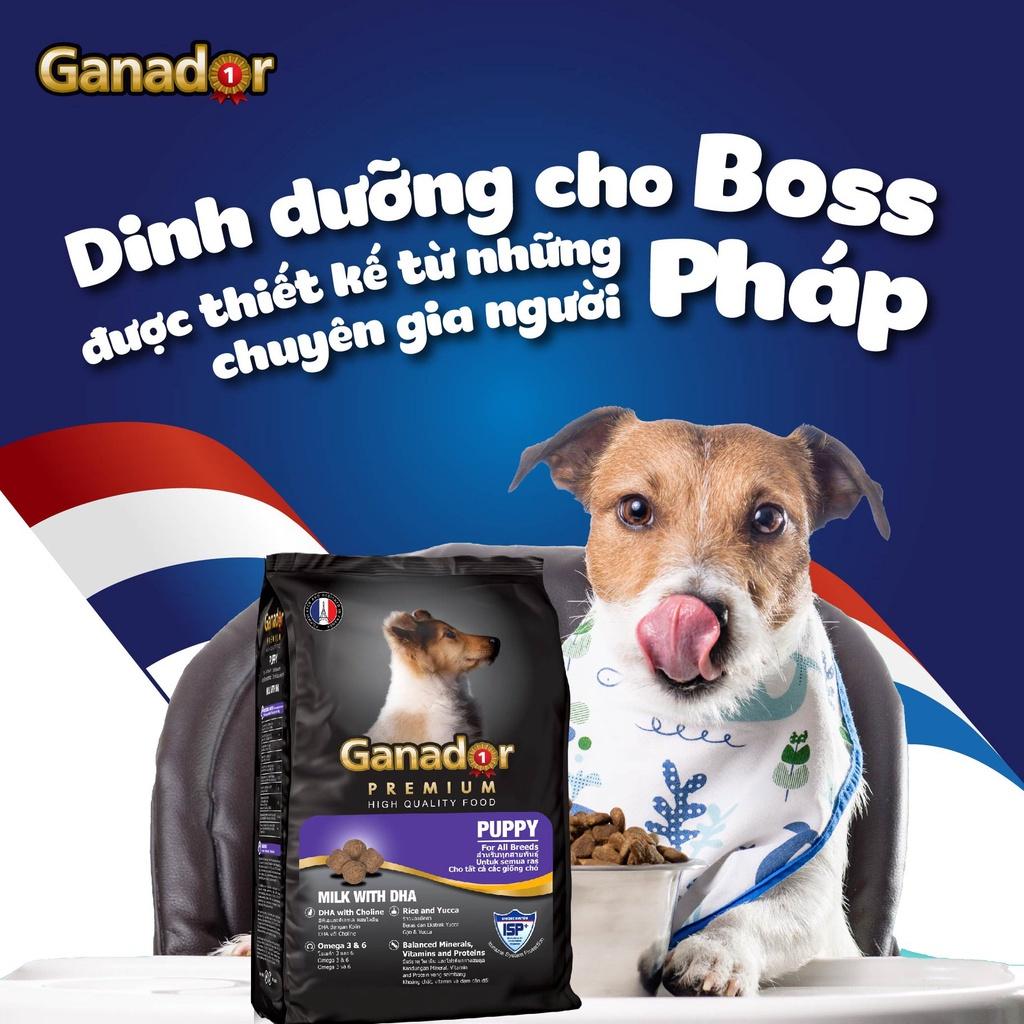 Thức ăn cho chó Ganador Puppy, Adult vị: sữa DHA, trứng sữa, gà nướng, cá hồi, cừu gạo (400g