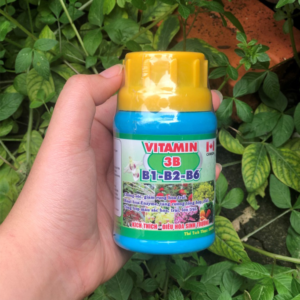 Vitamin 3B ( B1 - B2 - B6 ) Chống sốc, kích thích sinh trưởng - Chai 100ml