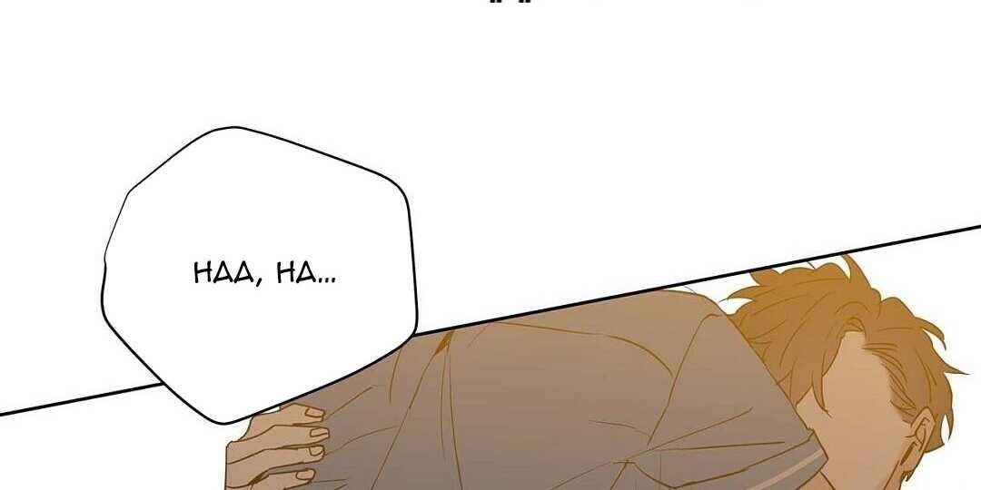 guide cấp b chapter 41 130