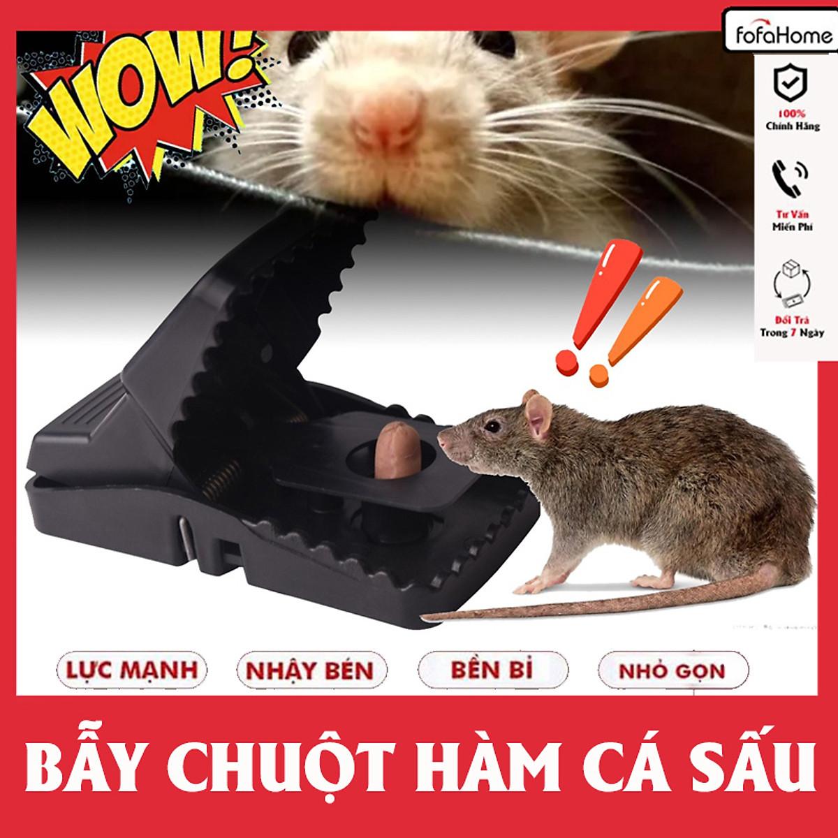 Bẫy Chuột Thông Minh Hàm Cá Sấu, Bẫy Được Các Loại Chuột Nhỏ Và Vừa
