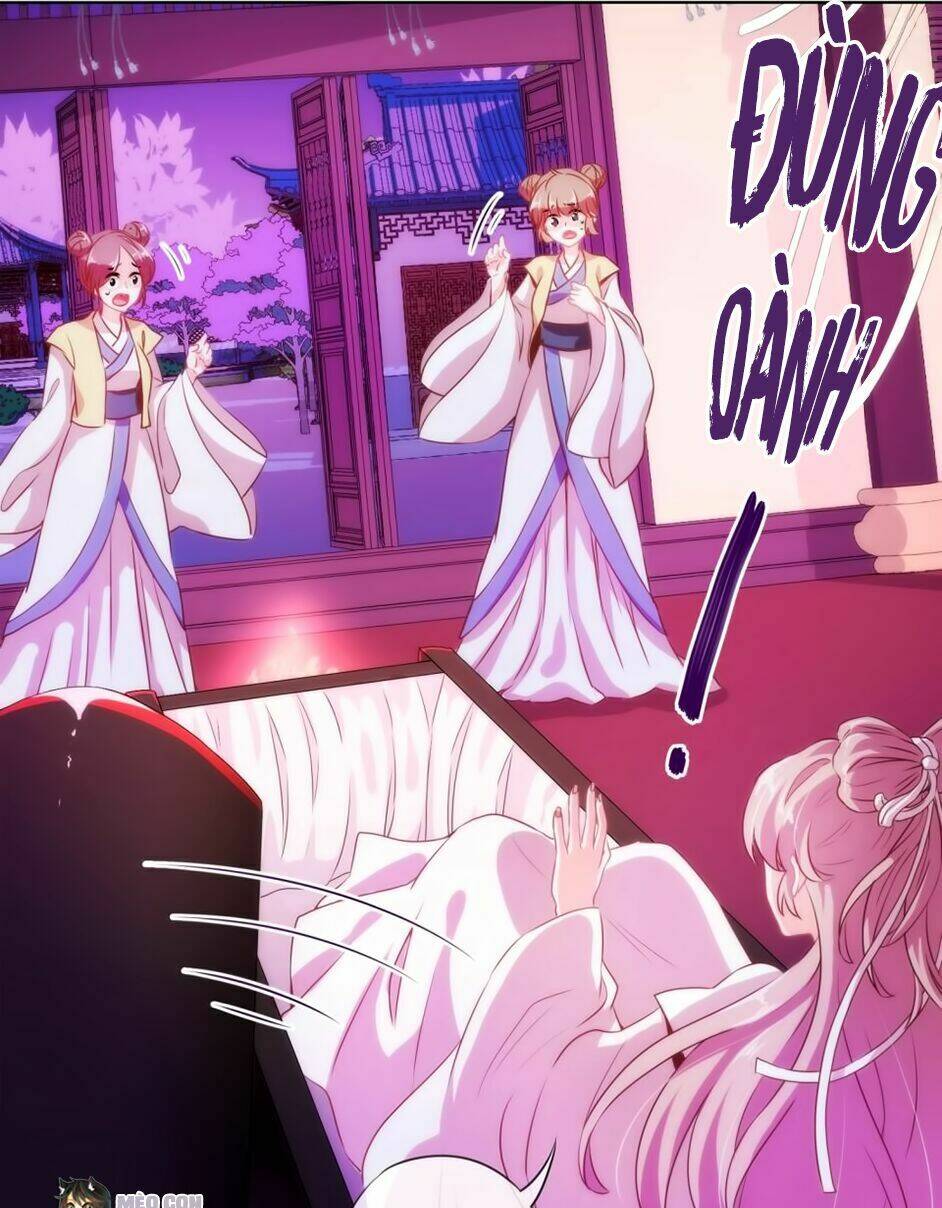 ồ, sủng phi đại nhân của ta chapter 1 11