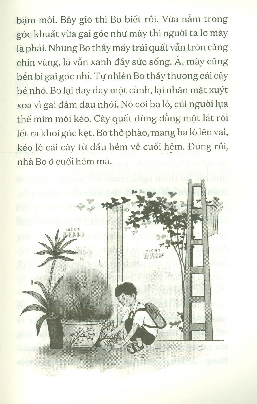 Văn học Tuổi Hoa - Cây Quất Xù Gai
