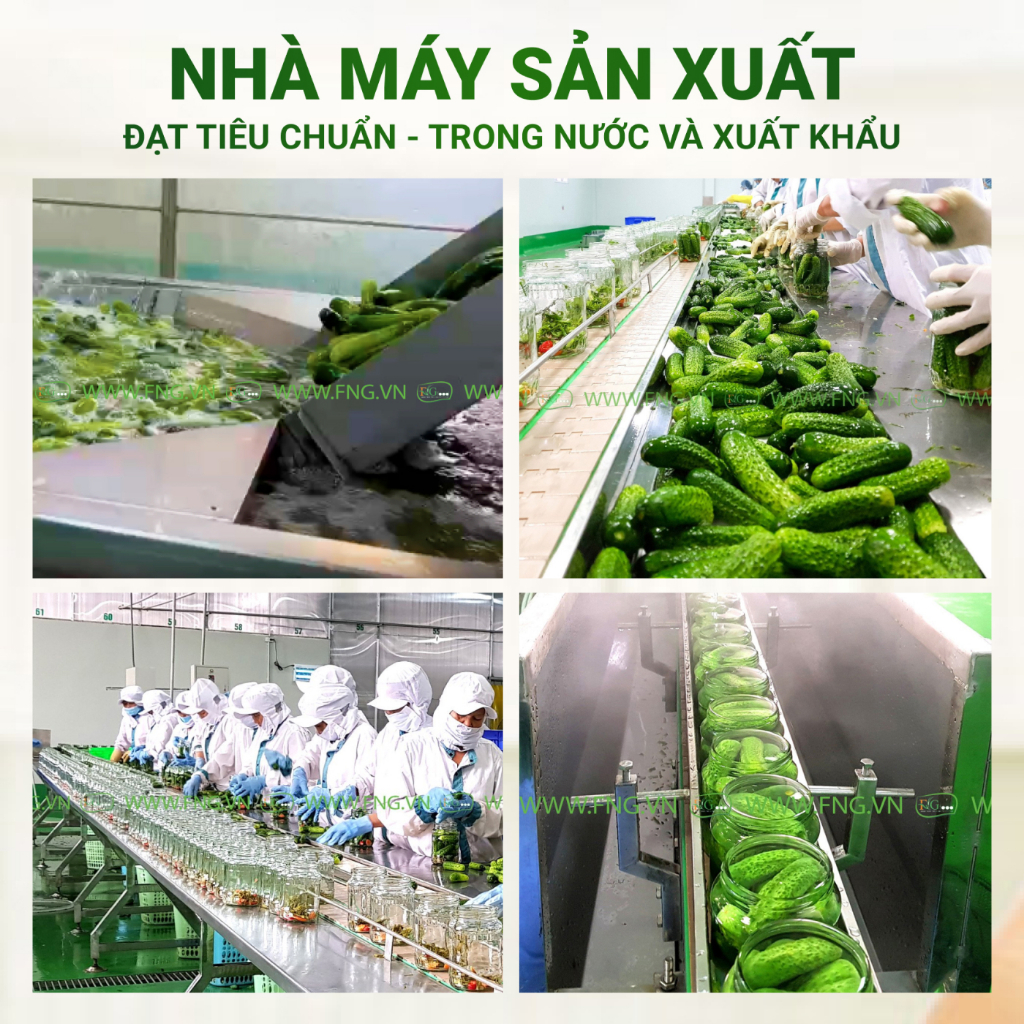 Dưa Chuột Bao Tử Ngâm F&amp;G Food Size 6-9, Hũ Lớn 720gr Ăn Kèm Thịt Nướng, Làm Gỏi Trộn