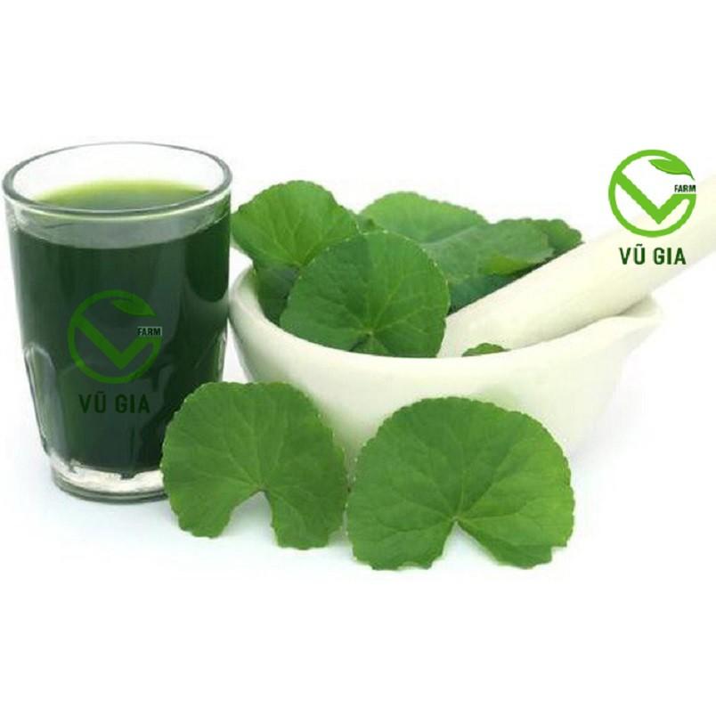 Bột Rau Má Sấy Lạnh Nguyên Chất Vũ Gia + Tặng Chai Thủy Tinh Đựng Nước Ép Có Dây Treo 300ml